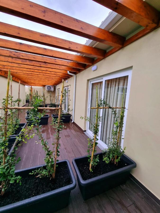 Villas Com Piscina فيلا نوفا دي غايا المظهر الخارجي الصورة