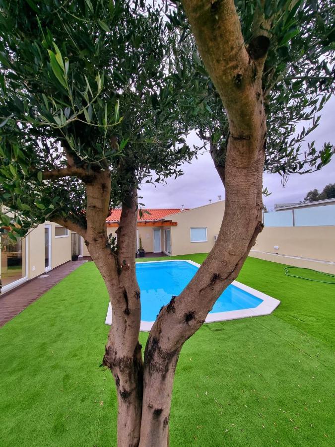 Villas Com Piscina فيلا نوفا دي غايا المظهر الخارجي الصورة
