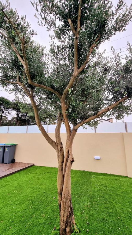Villas Com Piscina فيلا نوفا دي غايا المظهر الخارجي الصورة